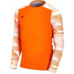 Nike Dry Park IV Jersey LS GK cj6066 819 – Hledejceny.cz