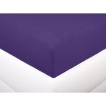 Aaryans jersey prostěradlo švestkově fialové 220x200 – Zboží Dáma