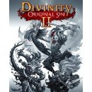 Divinity: Original Sin 2