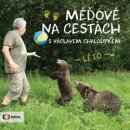 Méďové na cestách LÉTO - Václav Chaloupek - Kniha