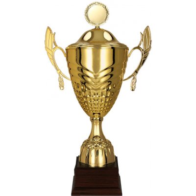 Sportovní pohár 3121 s víkem Výška poháru: Pohár 3121D výška 41cm