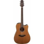 Takamine GD20CE Natural – Zboží Mobilmania