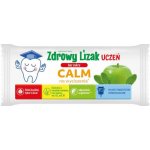 Starpharma Healthy Lollipop Student Calm 6 g Jablko-máta – Hledejceny.cz