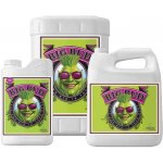 Advanced Nutrients Big Bud Liquid 1l – Zboží Dáma