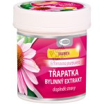 Green idea Třapatka Nachová Echinacea bylinný extrakt 60 tablet – Hledejceny.cz