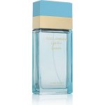 Dolce & Gabbana Light Blue Forever parfémovaná voda dámská 100 ml tester – Hledejceny.cz