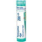 HYOSCYAMUS NIGER POR 200CH GRA 1X4G – Hledejceny.cz