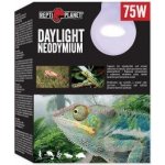 Repti Planet Daylight Neodymium 75 W 007-41013 – Zboží Dáma