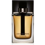 Christian Dior Dior Homme Intense 2020 parfémovaná voda pánská 100 ml – Zboží Mobilmania