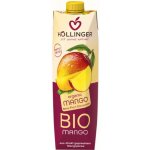 Hollinger Bio Nektar mango 1 l – Zboží Dáma