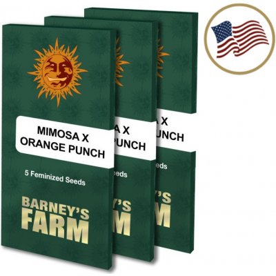 Barney's Farm Mimosa x Orange Punch semena neobsahují THC 10 ks