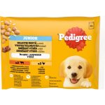 Pedigree Junior v želé kuřecí rýže a hovězí rýže 4 x 100 g – Sleviste.cz