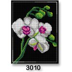 VTC Vyšívací předloha 70246 3010 orchidea bílo-černá 18x24cm – Zbozi.Blesk.cz