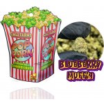 Califarms CBD květy Blueberry Muffin 12,86% CBD 0,06% THC 10 g – Zboží Dáma