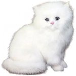 CutePets Kočka bílá atrapa koťátko 1A – Zboží Dáma