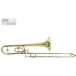 Roy Benson TT-220 Bb/C Pro série dětský – Zboží Dáma