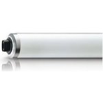 Philips TL 100/W01 UV-B R17d/G13 Narrowband (pouze celé balení 10KS) – Hledejceny.cz