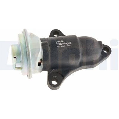 AGR-Ventil Delphi EG10648-12B1 – Hledejceny.cz