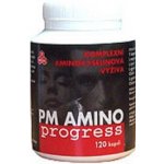 Purus Meda PM AMINOprogress 120 kapslí – Hledejceny.cz