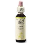 Bachovy květové esence Oliva Olive 20 ml – Hledejceny.cz