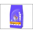 Iams ProActive Health Kitten 10 kg