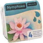 Nymphaea ‘Attraction’ – blistr – Sleviste.cz