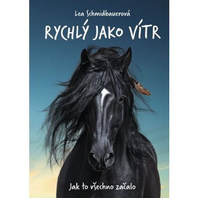 Rychlý jako vítr: Jak to všechno začalo – Sleviste.cz