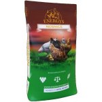 Energys Krmivo pro nosnice granulované Gold 25 kg – Zboží Dáma