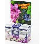 Silva Tabs Borůvky, rododendrony 250g – Hledejceny.cz