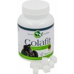 Colafit Single Pony pro koně 30 kostiček – Zboží Dáma