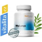 MycoMedica MyLungs kombinace bylin a vitálních hub 2× 90 kapslí – Hledejceny.cz