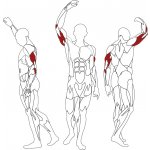 BH Fitness Horizontal Triceps L160 – Zboží Mobilmania