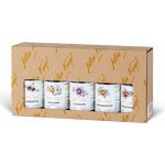 Anton Kaapl 47% 5 x 0,05 l (set) – Zboží Dáma