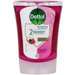 Dettol tekuté mýdlo náplň do bezdotykového dávkovače vůně lesního ovoce 250 ml – Zboží Dáma