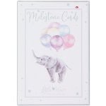 Milníkové kartičky Wrendale Designs, 24 ks - Můj první rok – Zboží Dáma