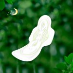 Naturella Camomile Classic Thick Night 14 ks – Zboží Dáma