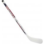 CCM Vizion Mini Česko – Zboží Mobilmania