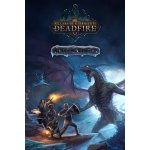 Pillars of Eternity 2: Deadfire - Beast of Winter – Hledejceny.cz