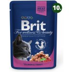 Brit Premium Cat Salmon & Trout 100 g – Sleviste.cz