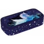 Karton P+P Pouzdro etue komfort Unicorn 1 – Sleviste.cz