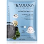 Teaology White Tea Peptide Mask 21 ml – Zbozi.Blesk.cz