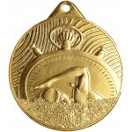 Designová kovová medaile Plavání Zlatá 5 cm – Hledejceny.cz