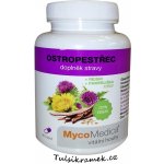 Mycomedica Ostropestřec + reishi + pampeliška 90 kapslí – Zboží Mobilmania