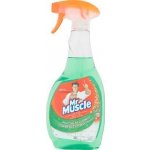 Mr. Muscle přípravek na čištění oken 500 ml – Zboží Dáma