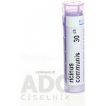 RICINUS COMMUNIS POR 30CH GRA 4G – Hledejceny.cz