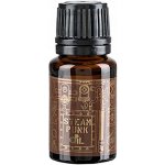 Pan Drwal Steam Punk olej na vousy 10 ml – Zbozi.Blesk.cz