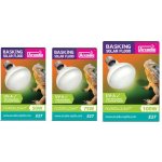 Arcadia Basking Solar Flood 100W – Zboží Dáma