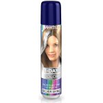 Venita 1 Day color spray Silver Shine 50 ml – Sleviste.cz