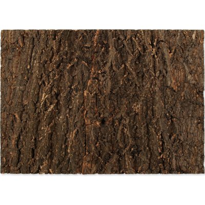 Repti Planet pozadí přírodní korek 58,5x41 cm – Sleviste.cz