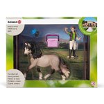 Schleich 42270 Pečující sada Andalusský kůn – Hledejceny.cz